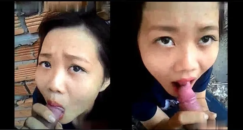 Gấu mút cây hàng ở vườn sau nhà
